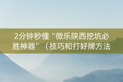 2分钟秒懂“微乐陕西挖坑必胜神器”（技巧和打好牌方法)