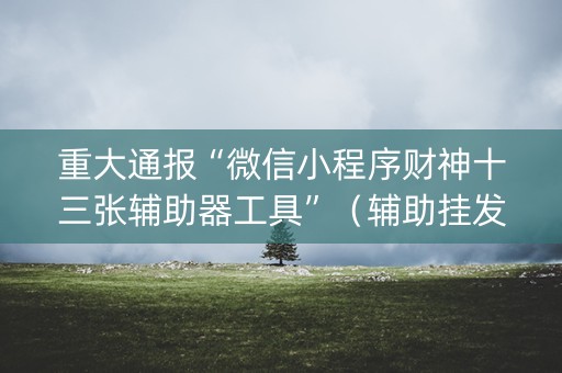 重大通报“微信小程序财神十三张辅助器工具”（辅助挂发牌规律)