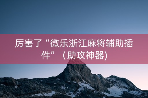 厉害了“微乐浙江麻将辅助插件”（助攻神器)
