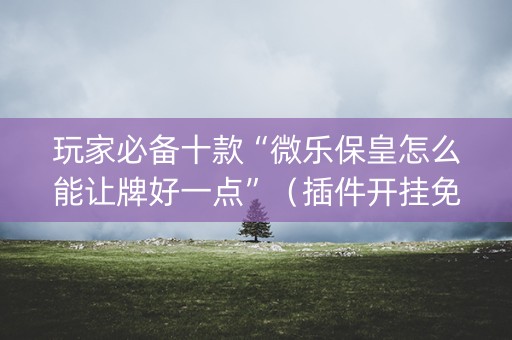 玩家必备十款“微乐保皇怎么能让牌好一点”（插件开挂免费AI)