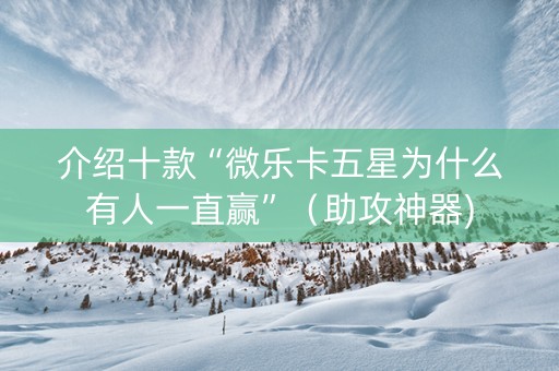 介绍十款“微乐卡五星为什么有人一直赢”（助攻神器)