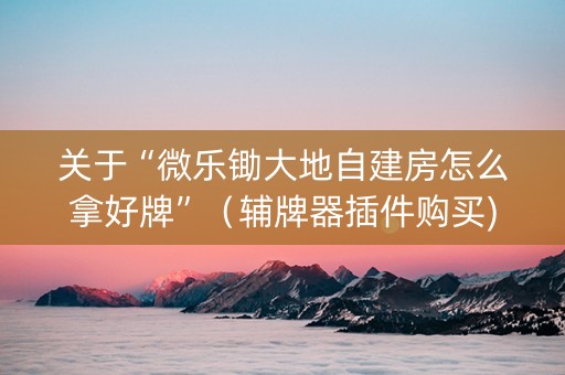 关于“微乐锄大地自建房怎么拿好牌”（辅牌器插件购买)