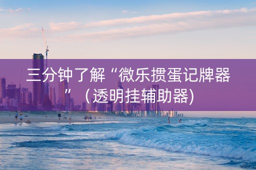三分钟了解“微乐掼蛋记牌器”（透明挂辅助器)