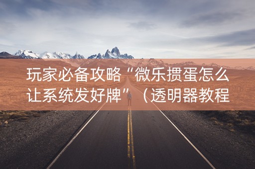 玩家必备攻略“微乐掼蛋怎么让系统发好牌”（透明器教程)