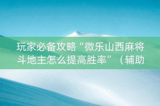 玩家必备攻略“微乐山西麻将斗地主怎么提高胜率”（辅助器插件)