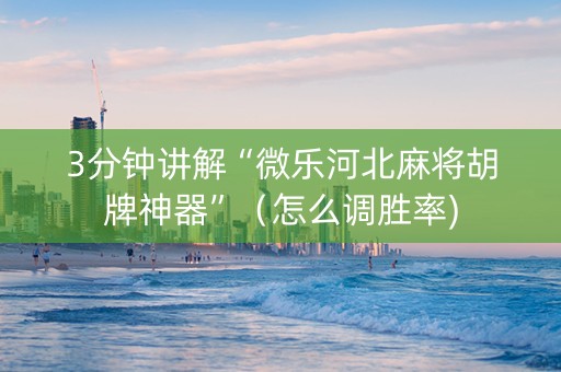 3分钟讲解“微乐河北麻将胡牌神器”（怎么调胜率)