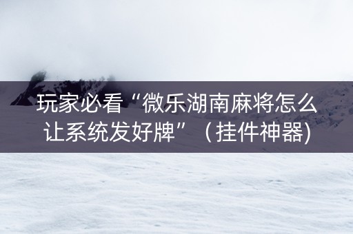 玩家必看“微乐湖南麻将怎么让系统发好牌”（挂件神器)