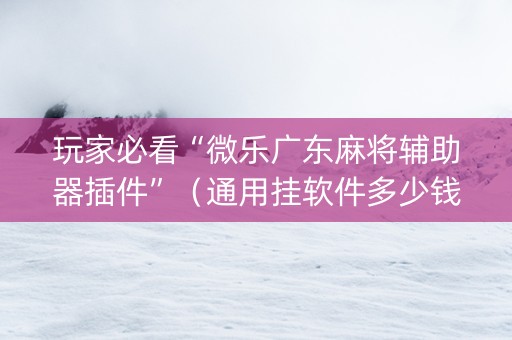 玩家必看“微乐广东麻将辅助器插件”（通用挂软件多少钱)