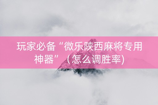 玩家必备“微乐陕西麻将专用神器”（怎么调胜率)
