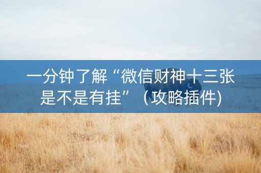 一分钟了解“微信财神十三张是不是有挂”（攻略插件)