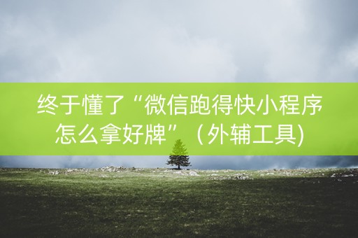 终于懂了“微信跑得快小程序怎么拿好牌”（外辅工具)