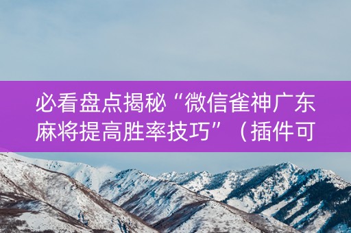 必看盘点揭秘“微信雀神广东麻将提高胜率技巧”（插件可信吗)
