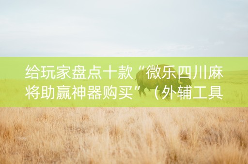 给玩家盘点十款“微乐四川麻将助赢神器购买”（外辅工具)