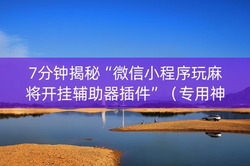 7分钟揭秘“微信小程序玩麻将开挂辅助器插件”（专用神器)