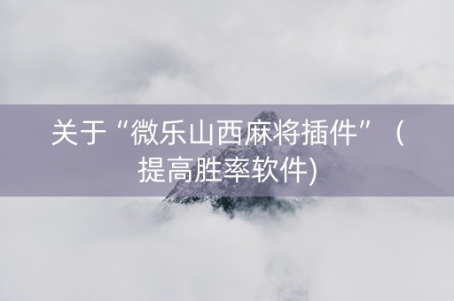 关于“微乐山西麻将插件”（提高胜率软件)