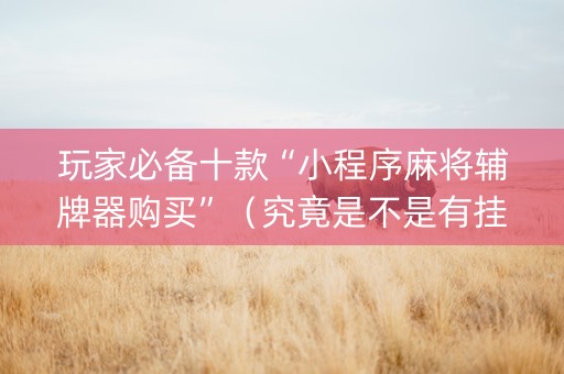 玩家必备十款“小程序麻将辅牌器购买”（究竟是不是有挂)