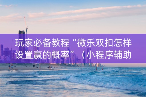 玩家必备教程“微乐双扣怎样设置赢的概率”（小程序辅助软件)