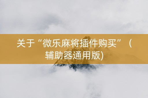 关于“微乐麻将插件购买”（辅助器通用版)