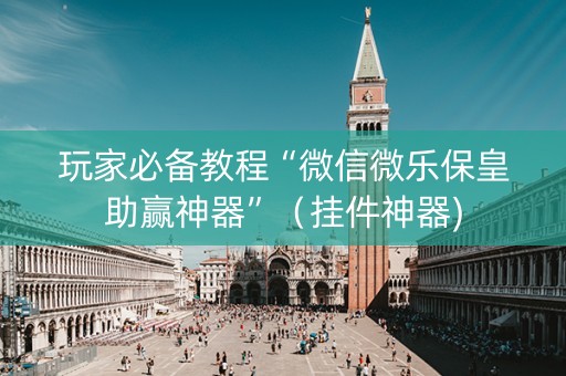 玩家必备教程“微信微乐保皇助赢神器”（挂件神器)
