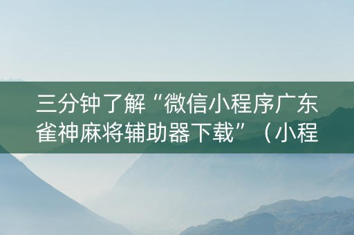 三分钟了解“微信小程序广东雀神麻将辅助器下载”（小程序怎么才会赢)