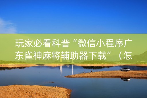 玩家必看科普“微信小程序广东雀神麻将辅助器下载”（怎么能让牌好一点)