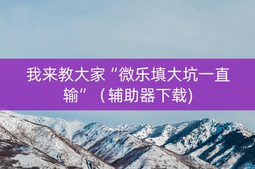 我来教大家“微乐填大坑一直输”（辅助器下载)