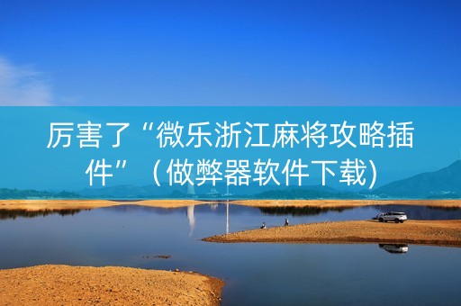 厉害了“微乐浙江麻将攻略插件”（做弊器软件下载)