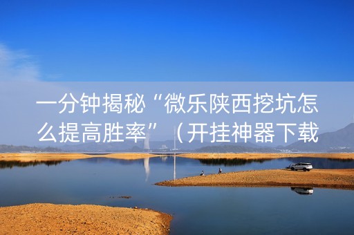 一分钟揭秘“微乐陕西挖坑怎么提高胜率”（开挂神器下载)
