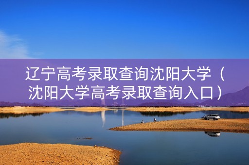 辽宁高考录取查询沈阳大学（沈阳大学高考录取查询入口）