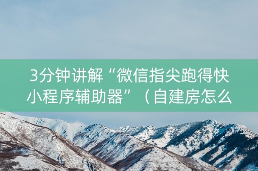 3分钟讲解“微信指尖跑得快小程序辅助器”（自建房怎么拿好牌)