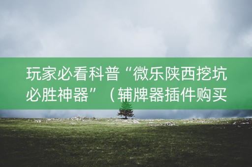 玩家必看科普“微乐陕西挖坑必胜神器”（辅牌器插件购买)