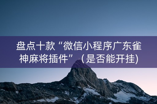 盘点十款“微信小程序广东雀神麻将插件”（是否能开挂)