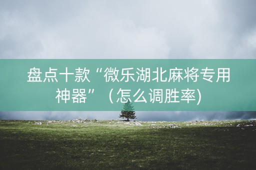 盘点十款“微乐湖北麻将专用神器”（怎么调胜率)