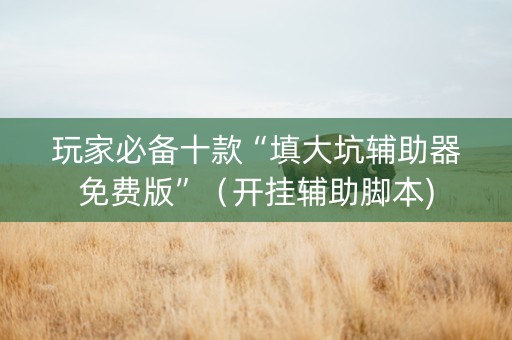 玩家必备十款“填大坑辅助器免费版”（开挂辅助脚本)