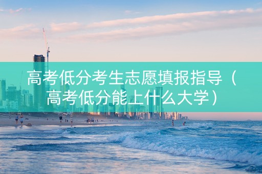 高考低分考生志愿填报指导（高考低分能上什么大学）
