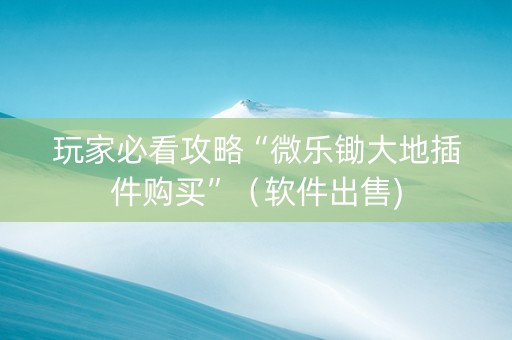 玩家必看攻略“微乐锄大地插件购买”（软件出售)
