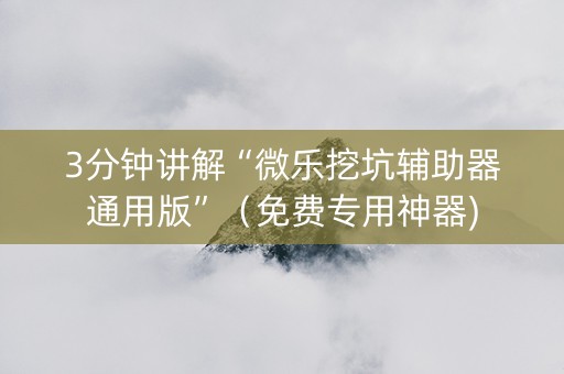 3分钟讲解“微乐挖坑辅助器通用版”（免费专用神器)