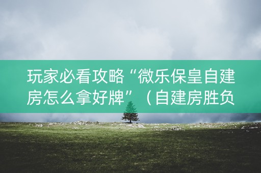 玩家必看攻略“微乐保皇自建房怎么拿好牌”（自建房胜负规律)