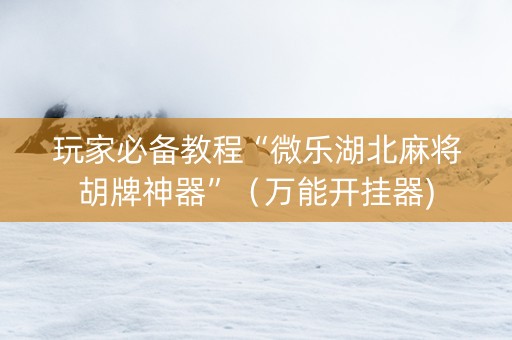 玩家必备教程“微乐湖北麻将胡牌神器”（万能开挂器)