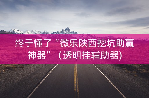 终于懂了“微乐陕西挖坑助赢神器”（透明挂辅助器)