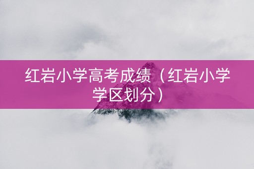 红岩小学高考成绩（红岩小学学区划分）