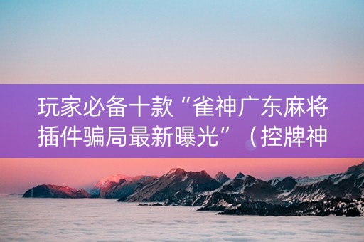 玩家必备十款“雀神广东麻将插件骗局最新曝光”（控牌神器)