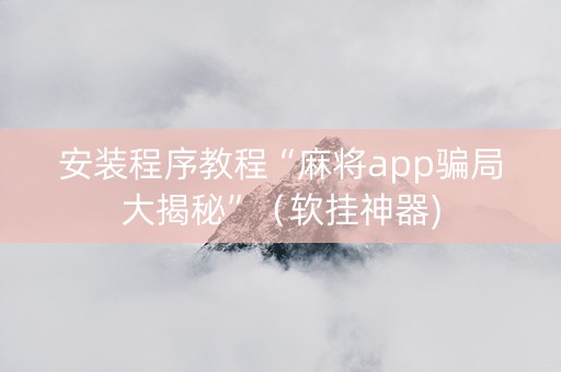 安装程序教程“麻将app骗局大揭秘”（软挂神器)