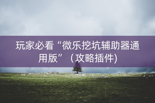 玩家必看“微乐挖坑辅助器通用版”（攻略插件)