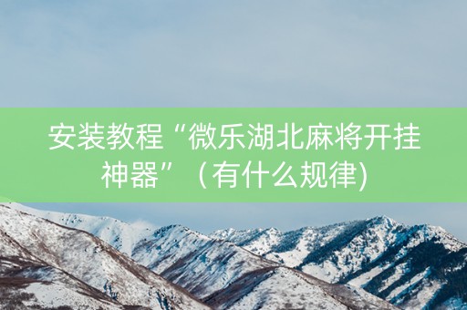 安装教程“微乐湖北麻将开挂神器”（有什么规律)