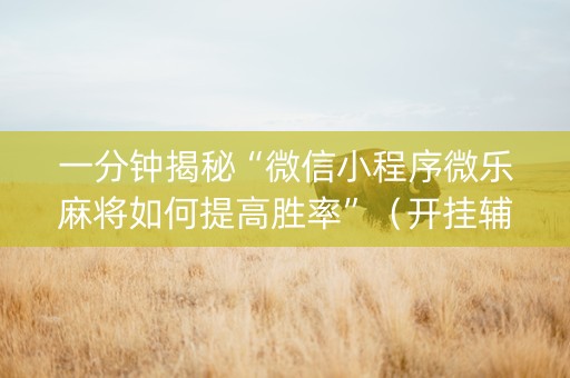 一分钟揭秘“微信小程序微乐麻将如何提高胜率”（开挂辅助脚本)