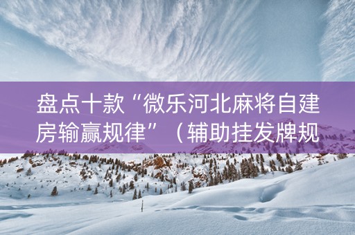 盘点十款“微乐河北麻将自建房输赢规律”（辅助挂发牌规律)