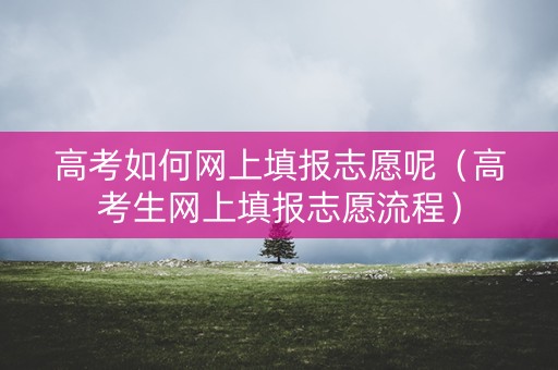 高考如何网上填报志愿呢（高考生网上填报志愿流程）