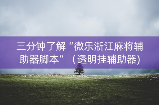 三分钟了解“微乐浙江麻将辅助器脚本”（透明挂辅助器)