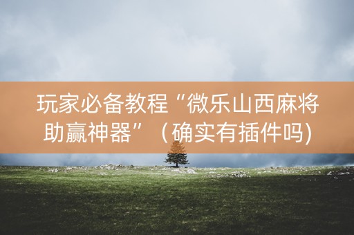 玩家必备教程“微乐山西麻将助赢神器”（确实有插件吗)